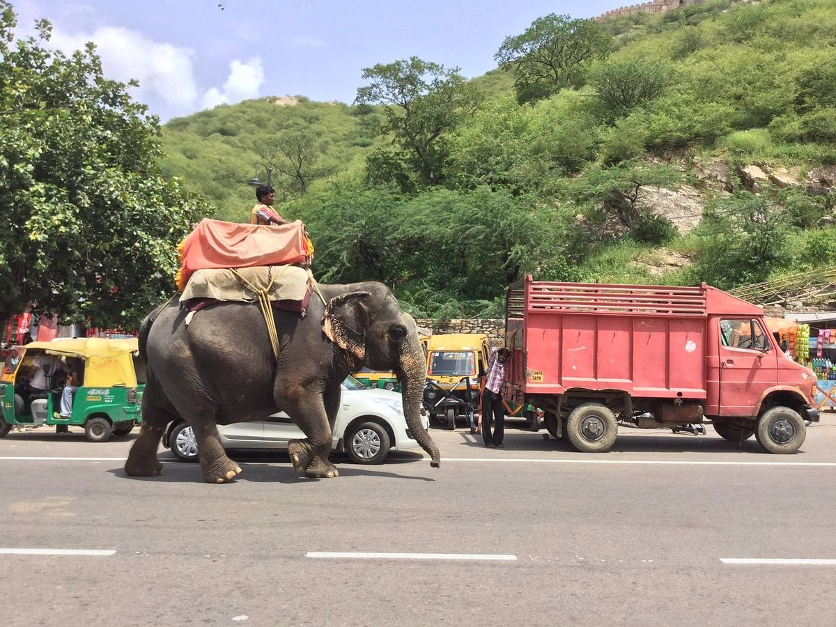 शहर की व्यस्त सड़क पर ट्रैफिक (प्रतीकात्मक)