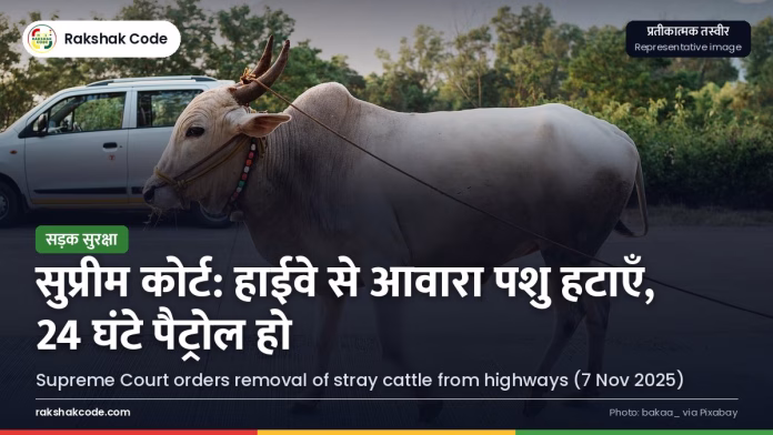 सुप्रीम कोर्ट का आदेश: हाईवे से आवारा पशु हटाए जाएँ, NHAI और राज्यों की ज़िम्मेदारी तय सड़क पर घूमते पशु (प्रतीकात्मक तस्वीर)